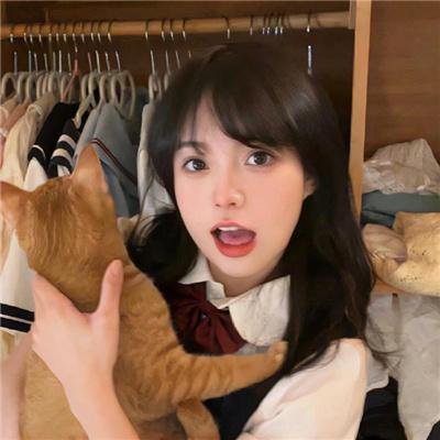 老鼠开会