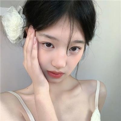 王朝的陷落